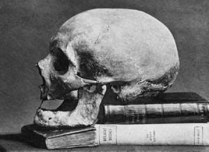 sebald_browne