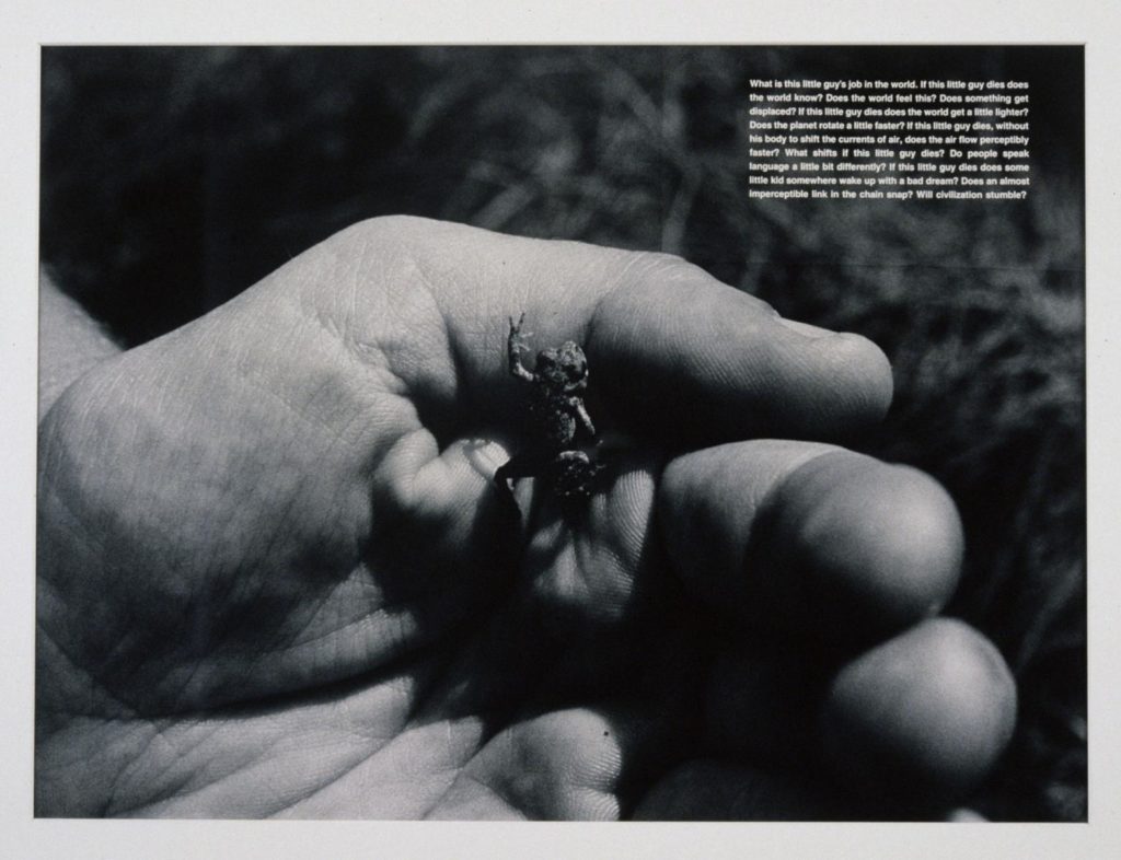 David Wojnarowicz, "What is this little guy's job in the world?" (1990)