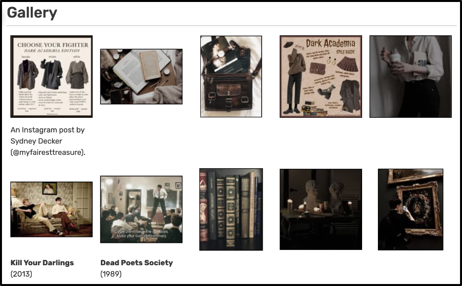 A collection of ten images taken from the Aesthetics Wiki page for "dark academia." There are two different dark academia fashion guides, several photos of old, leather bound books, images of marble sculptures and ornate painting, and two stills from the movies Kill Your Darlings and Dead Poets Society.